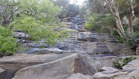 Kiliyur Falls Yercaud Offers A Serene Retreat Amidst Nature