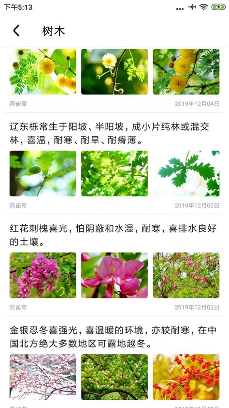 植物鉴别app排行榜前十名_植物鉴别app哪个好用对比