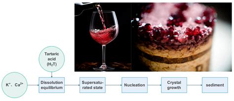 Sustainable Strategies for Wine Colloidal Stability: Innovations in ...