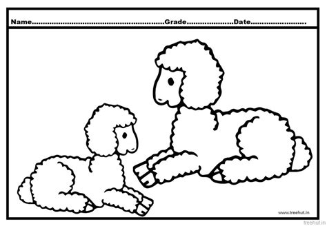 Sheep Coloring Pages