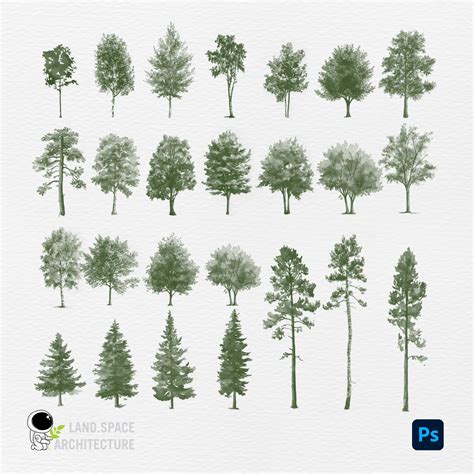 Bush Photoshop Brushes