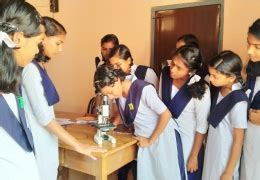 Academic Year 2019 - 2020 / Vigyan Pratibha Project (VP) / Science ...