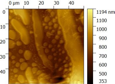 Best Scanning Probe Microscopy (SPM) & Atomic Force Microscopy (AFM) in ...