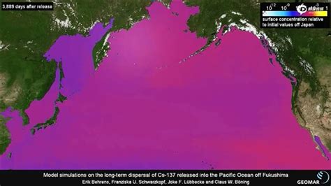 日本将核污水排入大海，联合国发出警报，57天将污染整个太平洋|联合国|核电站|日本政府_新浪新闻