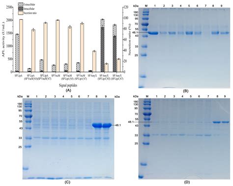 N-Terminal Sequences of Signal Peptides Assuming Critical Roles in ...