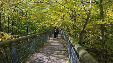 Mumbai: Malabar Hill’s Elevated Nature Trail Opening Delayed, Crowd ...