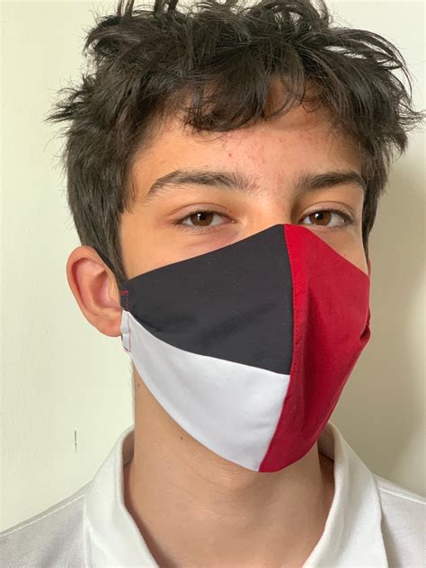 Image result for Free Printable 3D Face Mask Pattern PDF