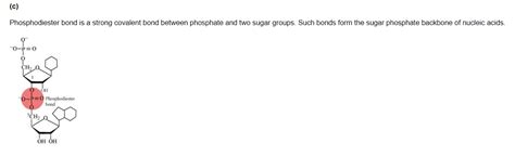 Illustrate a glycosidic, peptide and a phospho-diester bond.