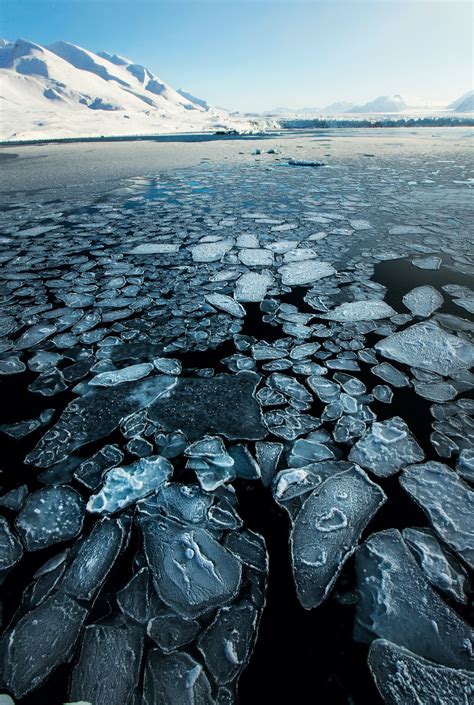 Image result for Ice Types Polar Code