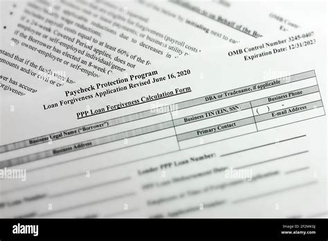 Paycheck Protection Program Forgiveness Form 的图像结果