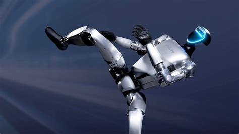 Chinese Robot 的图像结果