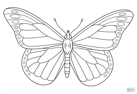 Monarch butterfly Coloring Page - ColoringBay