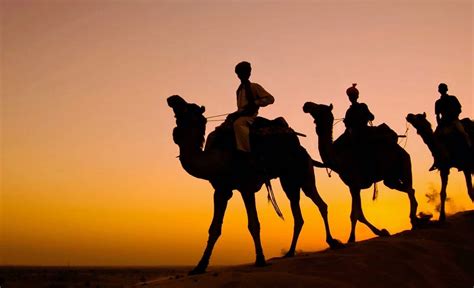 Best Time to Visit Rajasthan 2026 | Flamingo Transworld