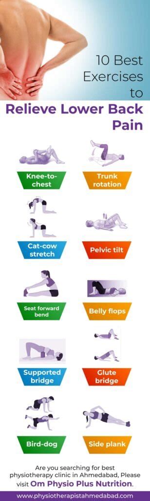 Image result for Lower Back Pain Exercise