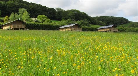 WESTERN MEADOWS GLAMPING (Launceston, Cornwall) - Campground Reviews ...