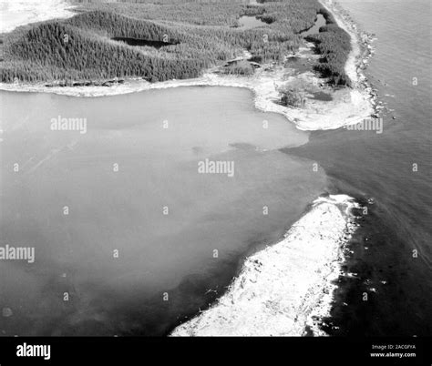 Damage from 1958 Lituya Bay tsunami. Aerial photograph from August 1958 ...