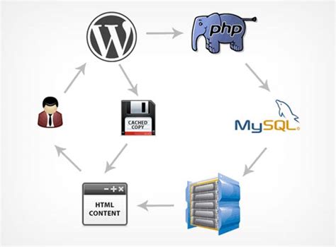 W3 Total Cache WordPress Cache Eklentisi | İnceleGo