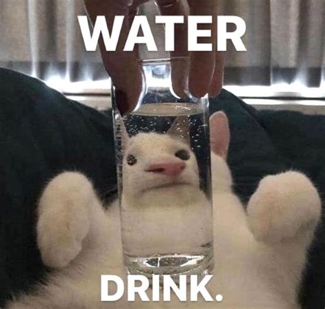 Pin di Stella Willsch su random