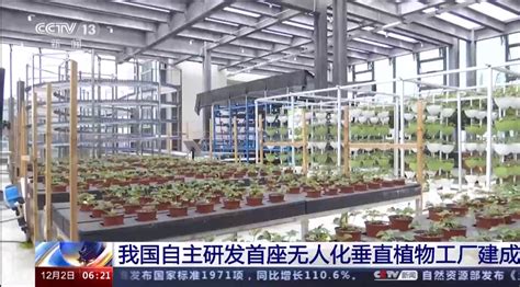 20层“高楼”里种菜 我国自主研发首座无人化垂直植物工厂建成
