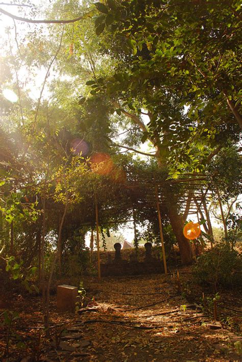 D'source Manav Sangrahalaya | Tribal Habitat Exhibition of Manav ...