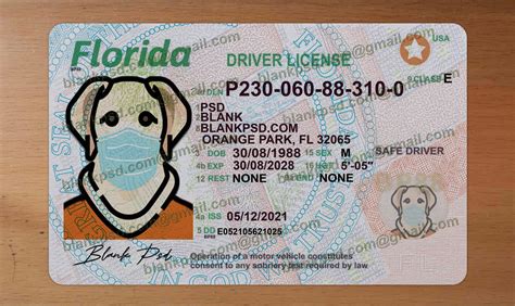 Editable Florida Drivers License Template - udlvirtual.esad.edu.br