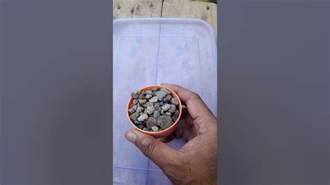 Image result for Relaxing View ASMR