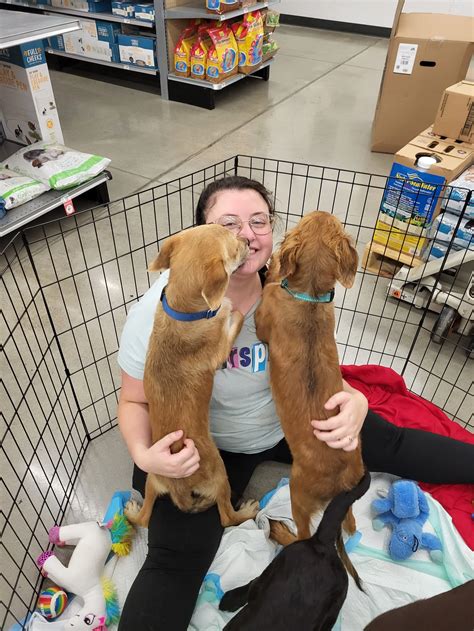 Eat, Play, Learn: Hot Chocolate, Swimming, and Volunteering — The ...