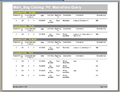 Data Report Format 的图像结果