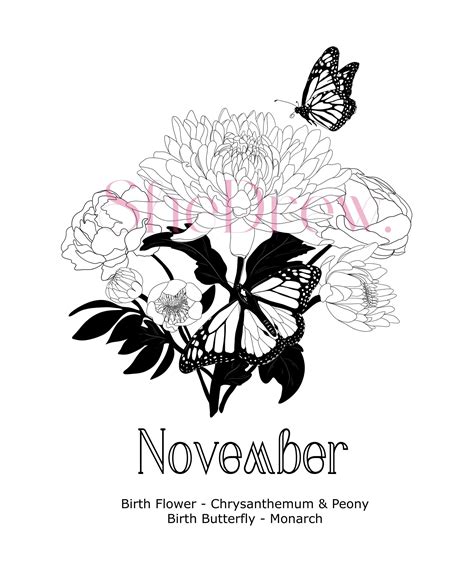 November Birth Month Flowers & Butterfly – SheDrew.