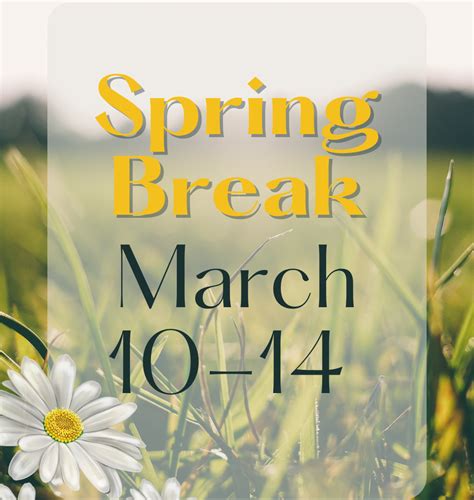 White Rock Montessori | Dallas Preschool, Elementary, Middle School