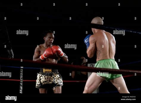 Thai Boxing 的图像结果