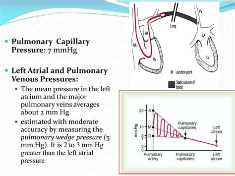 PPT - Chapter: 38 Pulmonary Circulation, Pulmonary Edema, Pleural Fluid ...