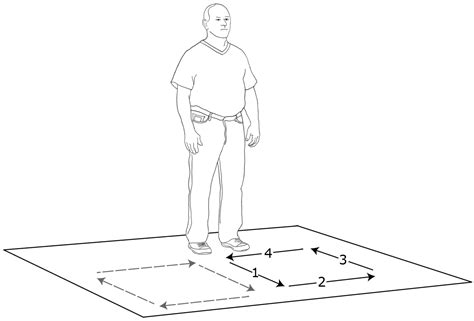 Image result for Forward Step into Balance Exercise