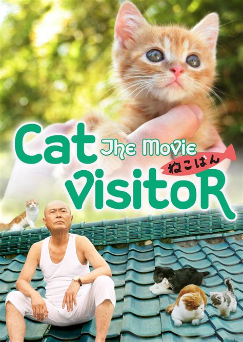 A Talking Cat Movie