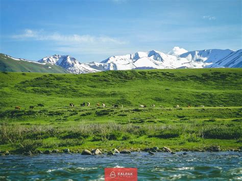 Kyrgyzstan Tours & Travel - Kalpak Travel
