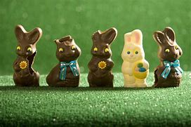 Image result for Chocolate Color Brown Bunnies