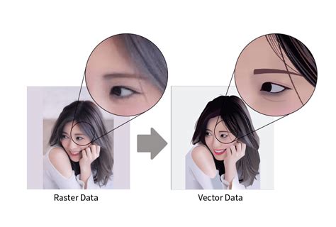 Vectorize a Raster File 的图像结果