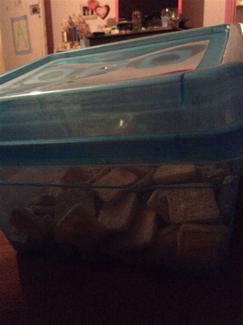 Image result for Dollar Store Containers