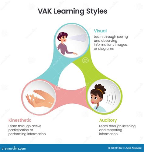 VAK Learning Styles Infographic Vector Illustration Stock Vector ...