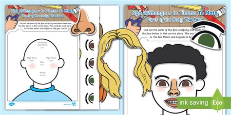 Parts of the Body - The Face Worksheet / Worksheet - Te Reo Maori/English