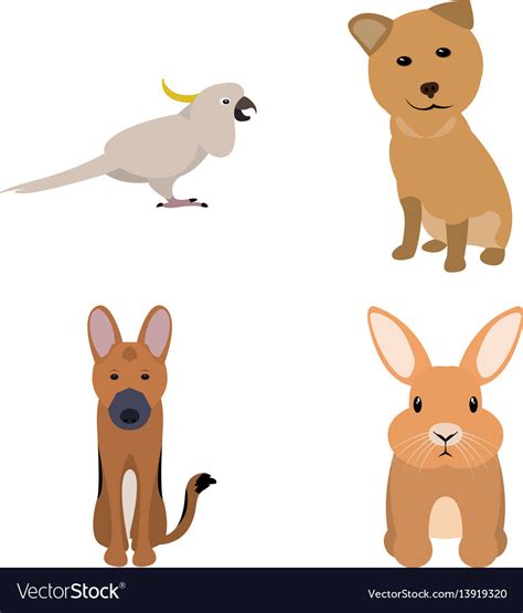 Image result for Python Animals Vector