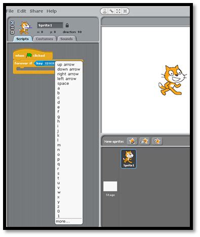 Image result for How to Move Scratch Script Automatically