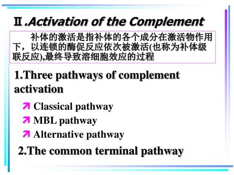 Image result for Complement Activation