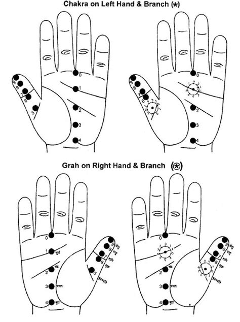 Ayurvedic Accupresure Figures : Acupressure Research, Training and ...