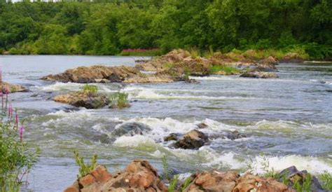 Fishing in The Susquehanna River Valley | Catfish & Perch