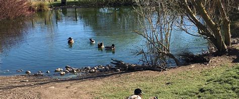 Rand Tourism (2023): Best of Rand, England - Tripadvisor