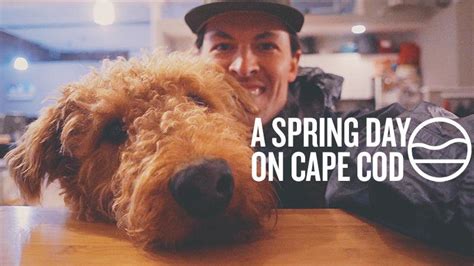 Cape Cod Vlog 的图像结果