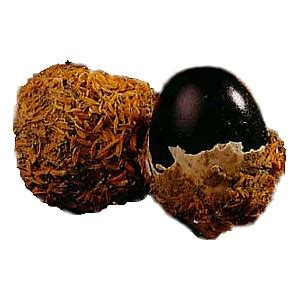 Oeuf de cent ans — Chine Informations