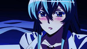 Esdeath Akame Ga Kill Blue Hair Matte Finish Poster Paper Print ...
