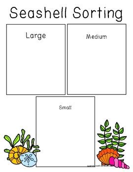 Seashell Sorting Activity 的图像结果